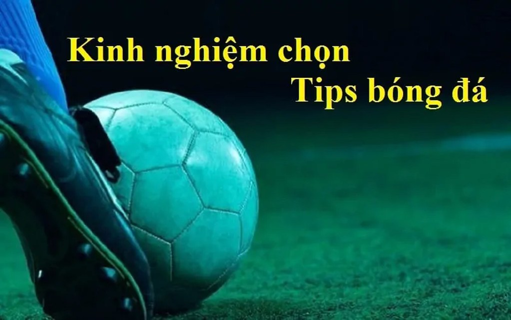 Thế nào là Tips bóng đá? Những loại Tips thường gặp nhất