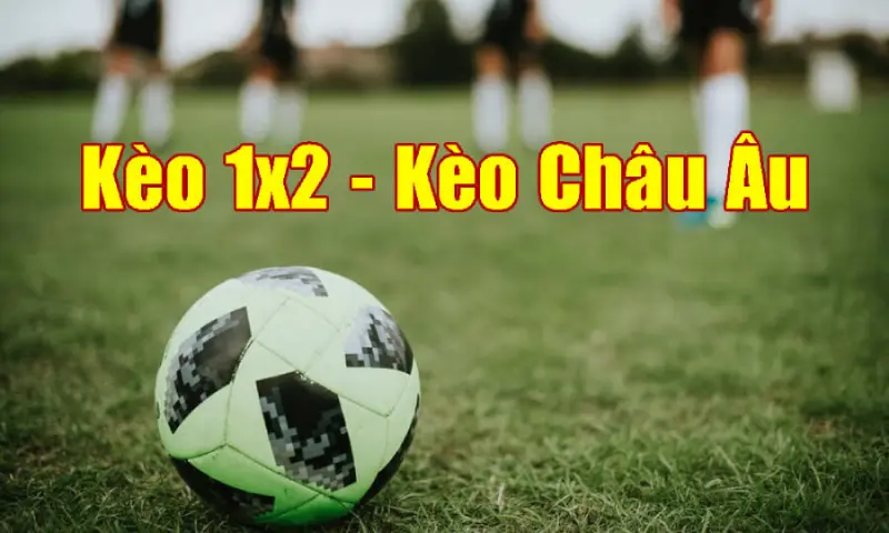 Bỏ túi ngay những kinh nghiệm soi kèo châu Âu chắc thắng 100%
